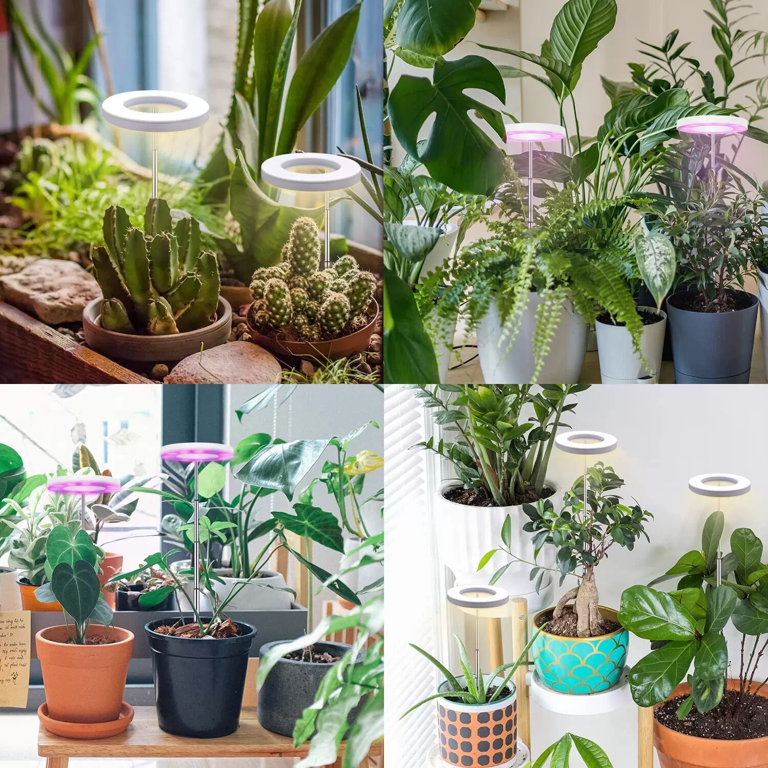 INF LED-Pflanzenlampe für Innenräume, verstellbare Grow-Lampe mit 3 Lichtmodi und 9 Helligkeitsstufen