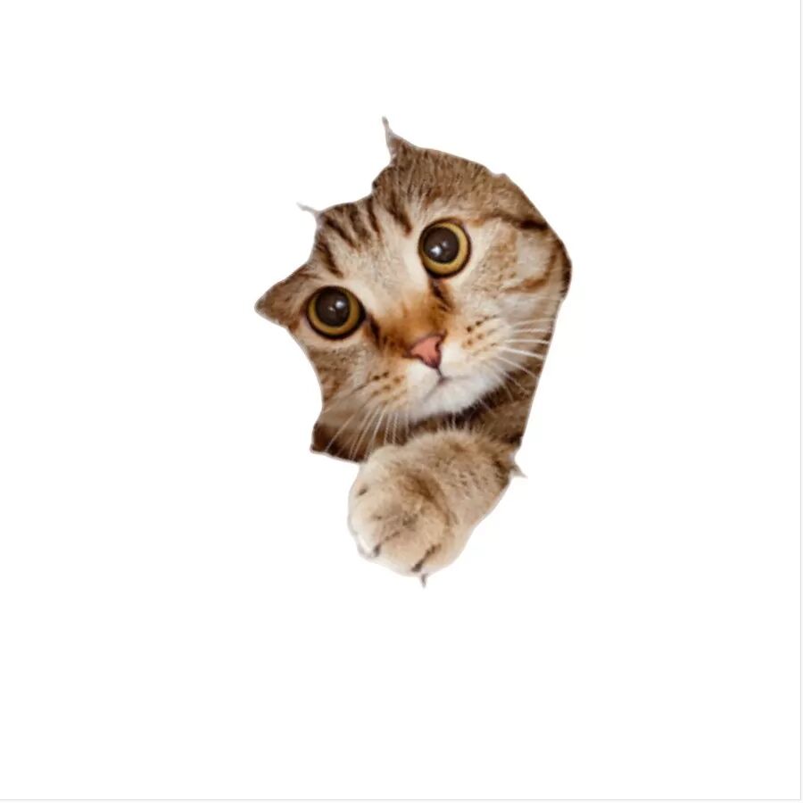 INF Kreativer 3D Autoaufkleber mit Orangefarbener Katze (2er-Pack) - Niedlicher Cartoon-Katzen-Autoaufkleber