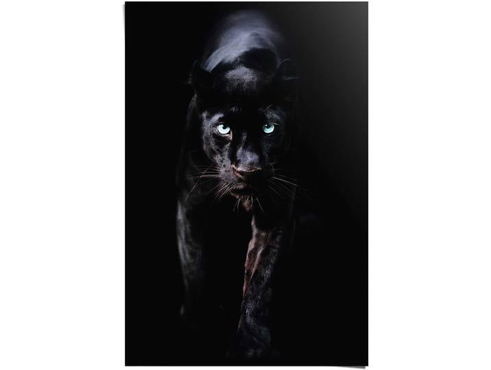 Poster REINDERS Poster Schwarzer Panther , schwarz (farbe bild(er): schwarz), B:61cm H:91,5cm, Papier, Bilder, Poster