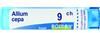 BOIRON Srl Boiron allium cepa Tubo 9ch