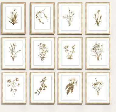 "Fragile Blossoms Art - Print X, 24"" x 19"" - Ballard Designs"
