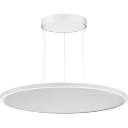 Performance in Light LED-Pendelleuchte 3124053