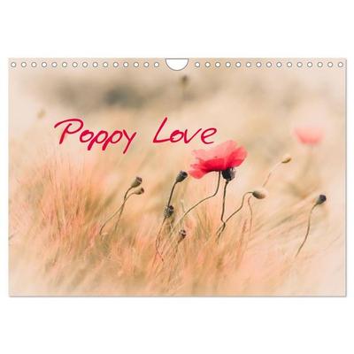Poppy Love (Wall Calendar 2026 DIN A4 landscape), CALVENDO 12 Month Wall Calendar
