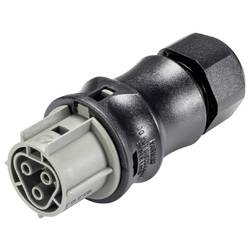 Wieland Electric 96.031.4054.3 Steckverbinder RAL 7023 (Betongrau)