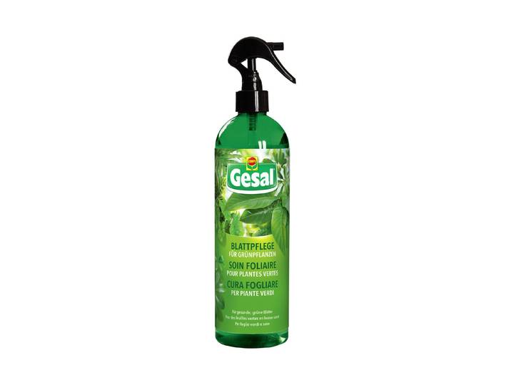 Gesal Blattpflege Grünpflanzen 500Ml