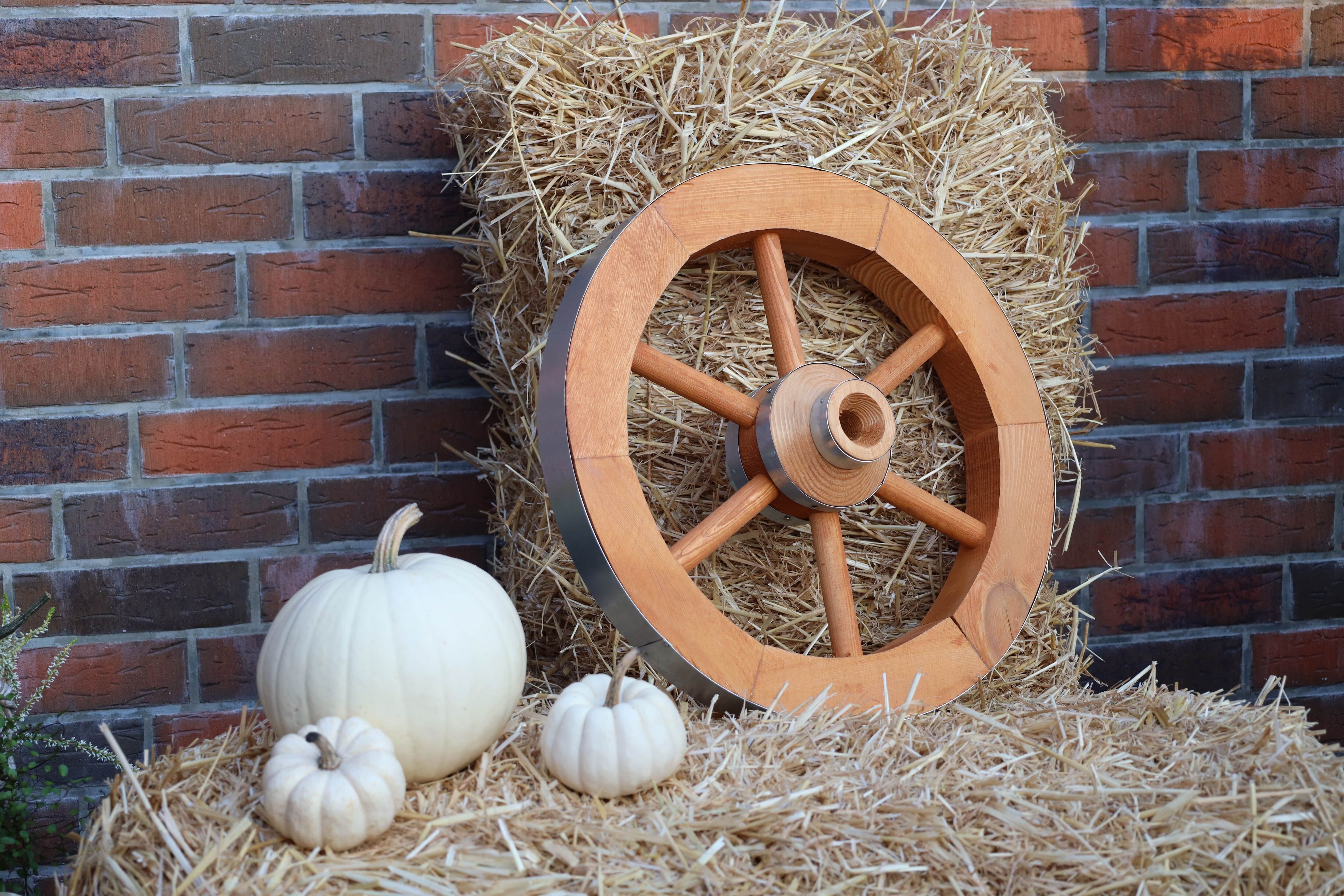 Gartenfigur PROMADINO "Wagenrad", gelb (honigfarben), B:50cm H:50cm L:14cm, Holzwerkstoff, Gartenfiguren, Gartenfigur, BxLxH: 50x14x50 cm honigfarben B/H/L: 50cm x 50cm x 14cm