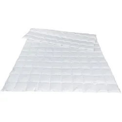 Traumina Plume Bio Daune Einziehdecke WK1