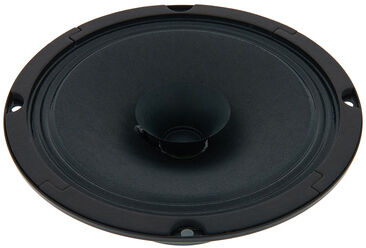 Visaton BG 17 8 Ohm