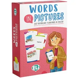 Words in Pictures Flashcards, Schulbücher