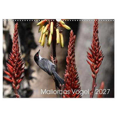 Mallorcas Vögel (Wandkalender 2027 DIN A3 quer), CALVENDO Monatskalender