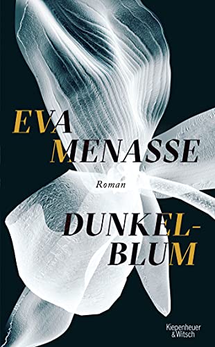 Eva Menasse - Dunkelblum: Roman - Preis vom 11.10.2026 03:10:56 h