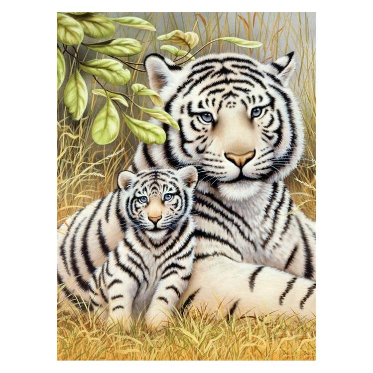 Pracht Malen nach Zahlen - Junior "White Tigers", DIY-Bild ca. 33 x 24 cm, inkl. 7 Acryl (4670-30101)