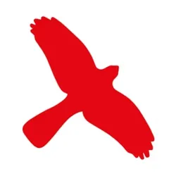 Vogelschutz Aufkleber für Fenster - 180x115 mm Folie selbstklebend