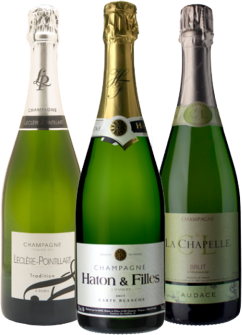 Vinatis Weinpaket  - Winzer-Champagner - 3 Fl. - 2.25L
