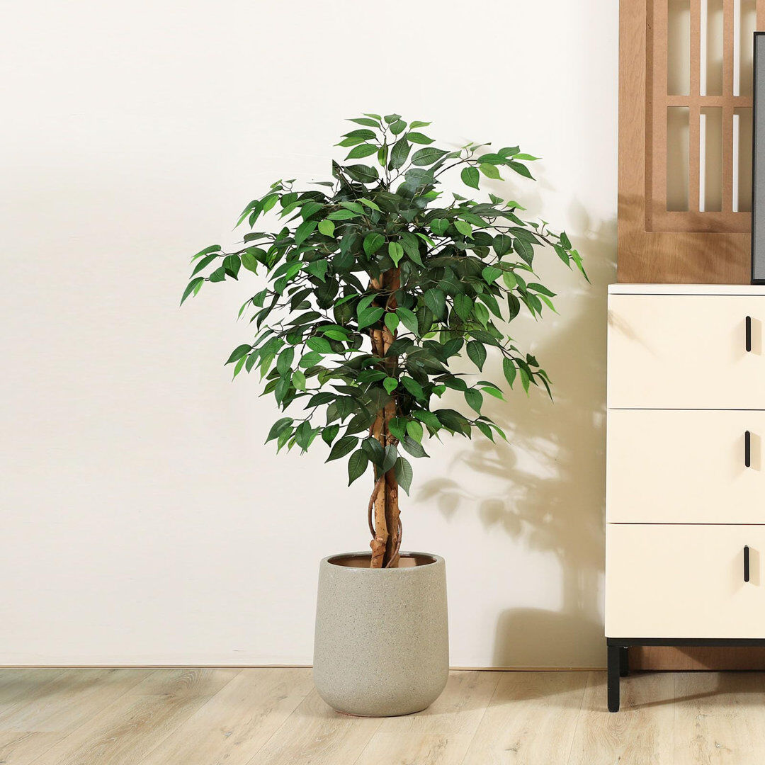 Bay Isle Home Alitza Faux Tree 120cm H x 15.5cm W x 15.5cm D