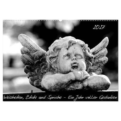 Weisheiten, Zitate und Sprüche - Ein Jahr voller Gedanken 2027 AT Version (Wandkalender 2027 DIN A2 quer), CALVENDO Monatskalender