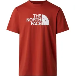 The North Face Herren Evolution Half Dome T-Shirt - M - Iron Clay