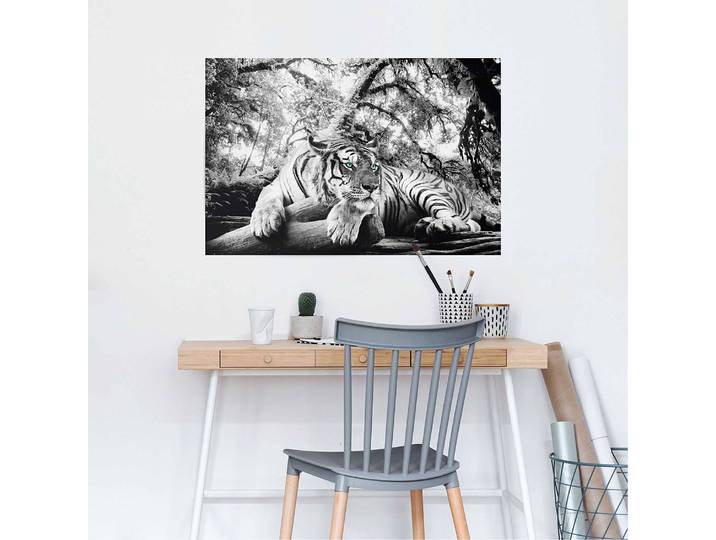 Poster Regard du tigre Papier Noir 61 x 92 x 0cm