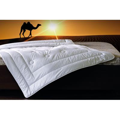 billerbeck "Natur Classic 342 Brilliant, Bettdecken für Sommer und Winter, Decke" normal Füllung Kamelhaar 1 Stk. tlg. Die temparaturregulierende Naturhaardecke