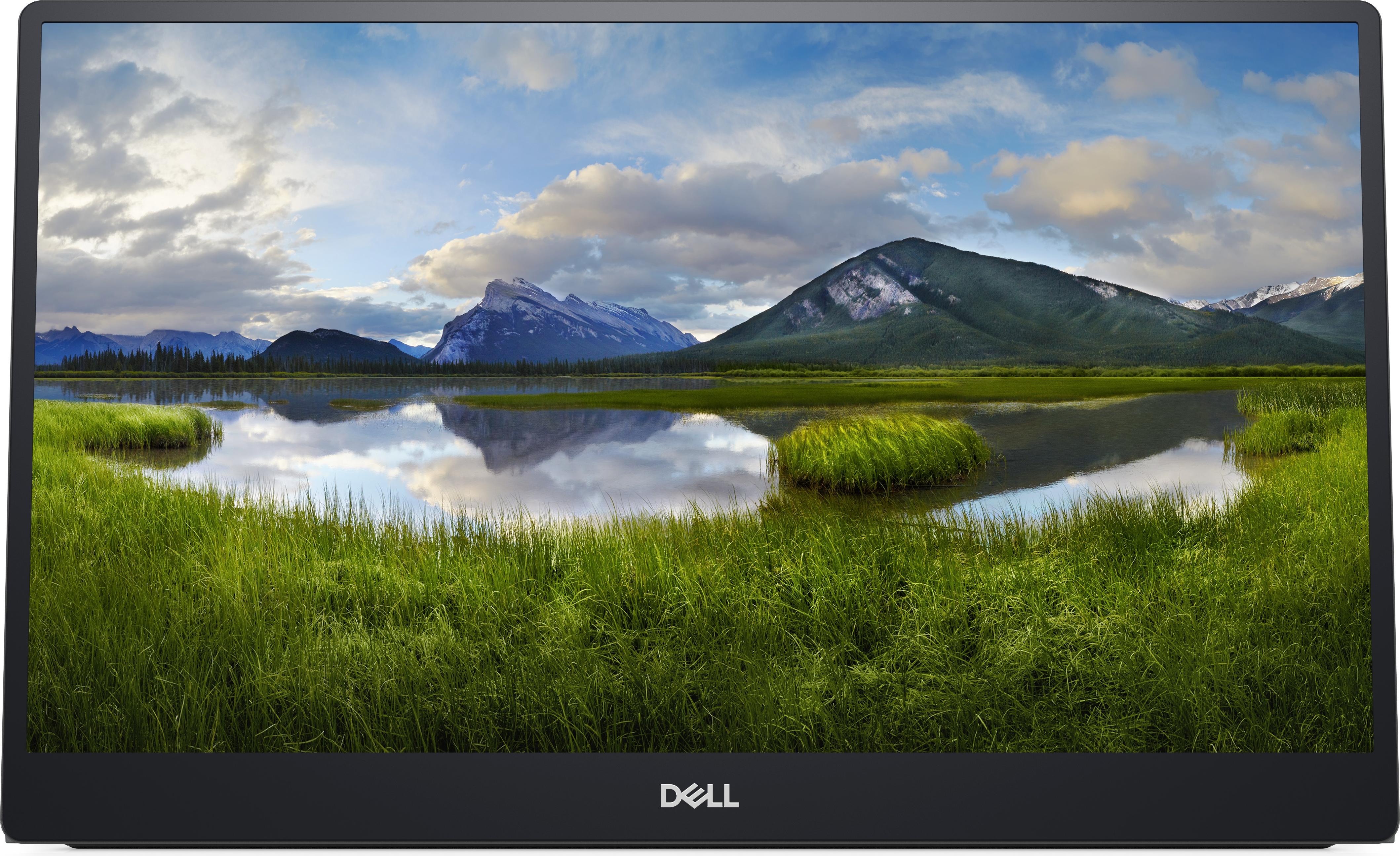 DELL P Series P1424H, 35,6 cm (14"), 1920 x 1080 Pixel, Full HD, LCD, 6 ms, Grau