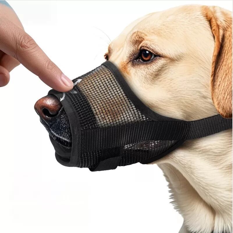 INF Kleine Maulkorb aus Kunststoffnetz für Hunde – Beiß- und Kauschutz, atmungsaktive Tiermaske