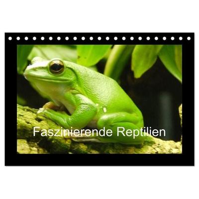 Faszinierende Reptilien (Tischkalender 2027 DIN A5 quer), CALVENDO Monatskalender