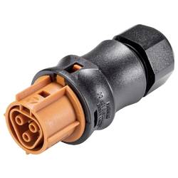 Wieland Electric 96.031.4451.4 Steckverbinder