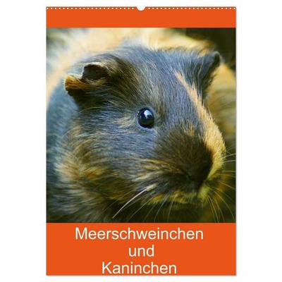 Meerschweinchen und Kaninchen Familienplaner (Wandkalender 2027 DIN A2 hoch), CALVENDO Monatskalender
