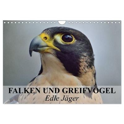 Falken und Greifvögel. Edle Jäger (Wandkalender 2027 DIN A4 quer), CALVENDO Monatskalender