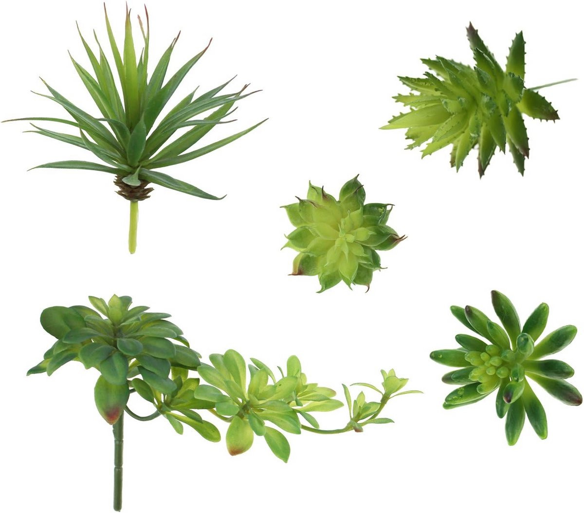 Set van 5 decoratieve nep vetplanten voor volwassenen