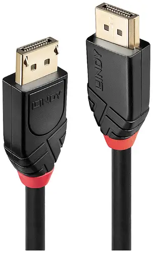 LINDY Anschlusskabel DisplayPort Stecker, DisplayPort Stecker 20.00m Schwarz 41081 DisplayPort-Kabel