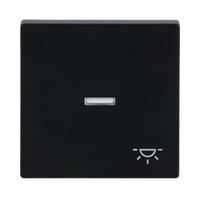 Wippe mit Symbol Licht schwarz, Retail