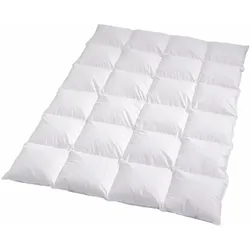 Traumschlaf, Duvet, Himalaya (900 g, Daune, 155 x 200 cm)
