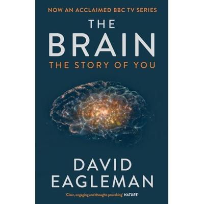 The Brain, Taschenbuch von David Eagleman, Canongate Books Ltd., 978-1-78211-661-5