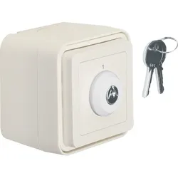 Berker Schlüsselschalter 32713502