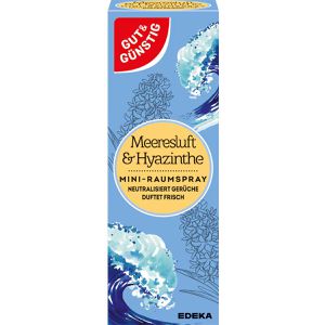 Gut&Günstig Raumduft Mini-Raumspray 25 ml, Nachfüller, gegen Gerüche, Meeresluft & Hyazinthe