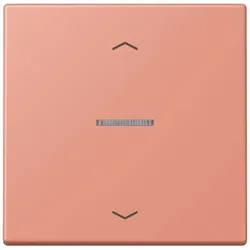 Jung Wippe mit Lichtleiter LC 101 KO5P 233