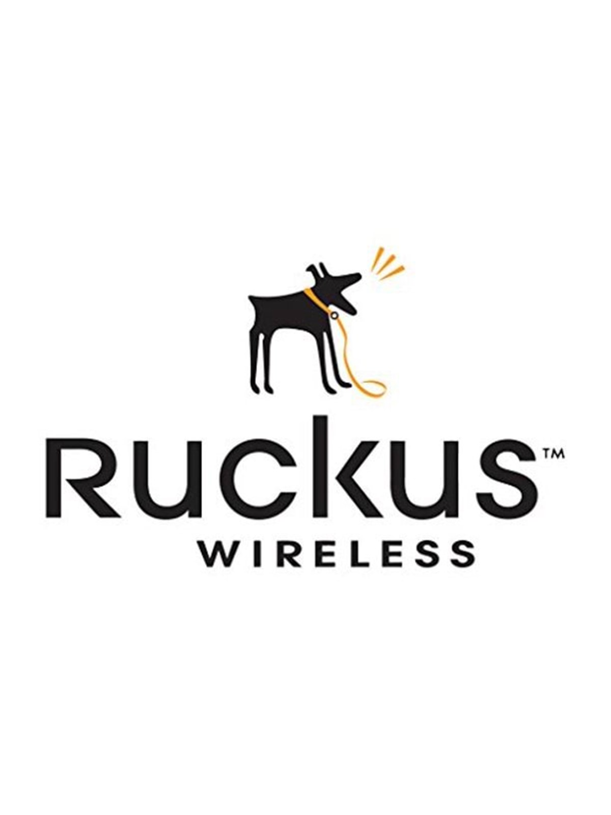 Ruckus Wireless Ruckus from 2x1 GbE SFP and 2x10 GbE SFP+ to 4x10 GbE SFP+ uplink ports