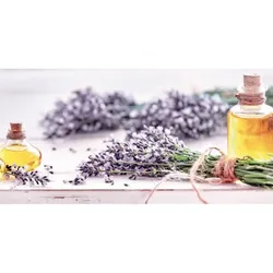 Bildheizung Lavendel
