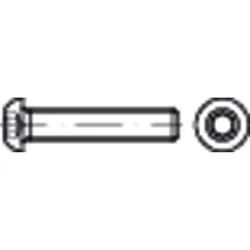 Linsenschraube ISO 7380-1 Stahl 10.9 M6 x 16mm