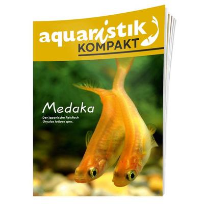 Medaka - aquaristik KOMPAKT, Geheftet von Günther Drütschel,Detlef Buisker, Dähne Verlag, 978-3-944821-96-2