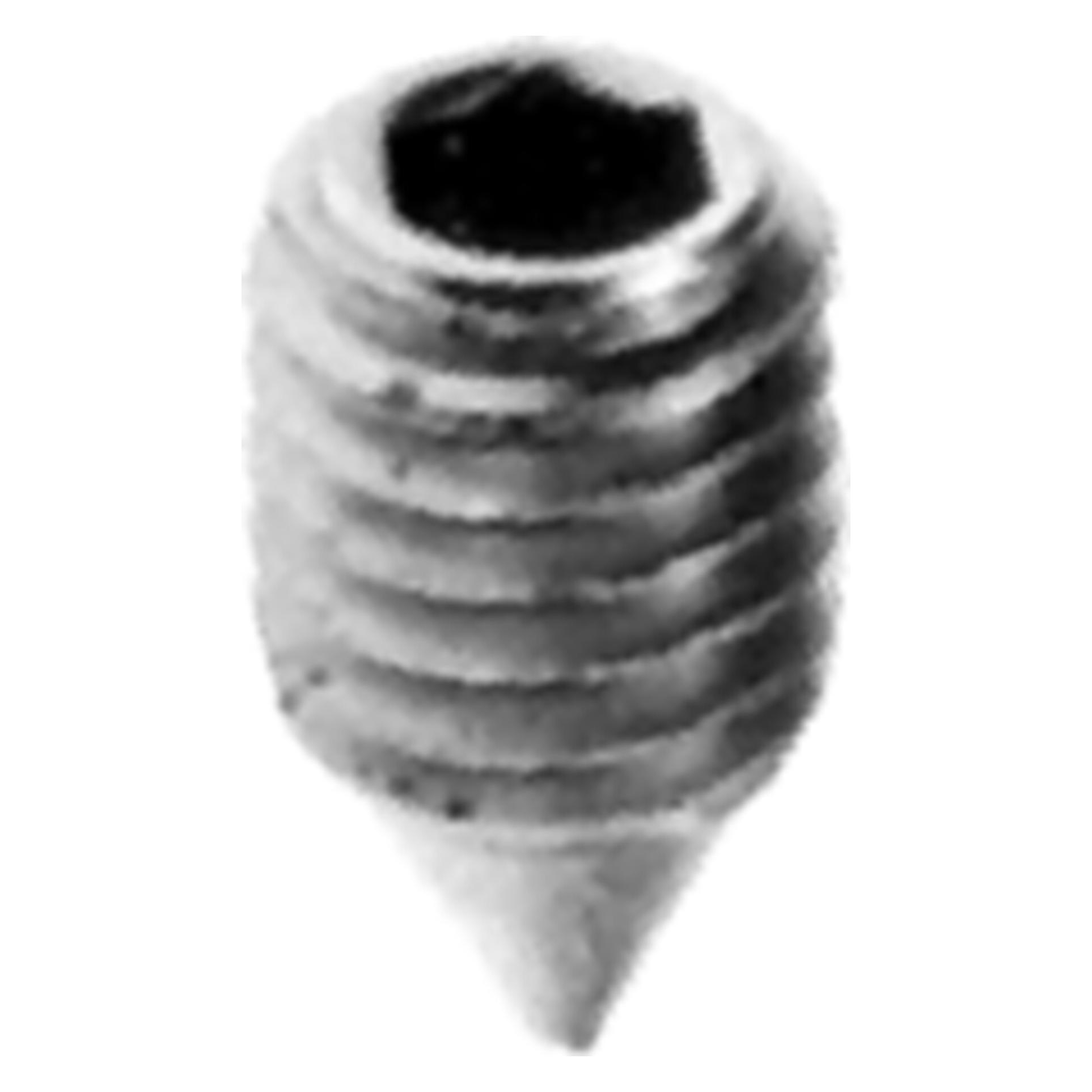 Hager Zierbeschläge Innensechskantschraube Spitze 60 60.1905 (60.1905.20 M6X9)