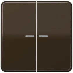 Jung Wippe Lichtleiter br CD 595 KO5BF BR