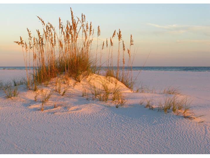 Fototapete PAPERMOON DÜNEN- MEER SEE KÜSTE NORDSEE OSTSEE STRAND SYLT GRAS , bunt, B:3m L:2,23m, Vlies, Tapeten, Fototapete