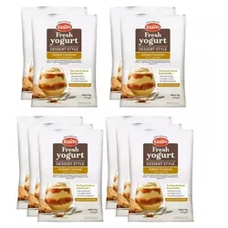 EASIYO Joghurtpulver 10 Beutel für 10kg Joghurt, sortenrein Salted Caramel