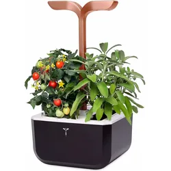 Véritable, Blumentopf, Exksy Smart (20 x 18.20 x 37.50 cm)
