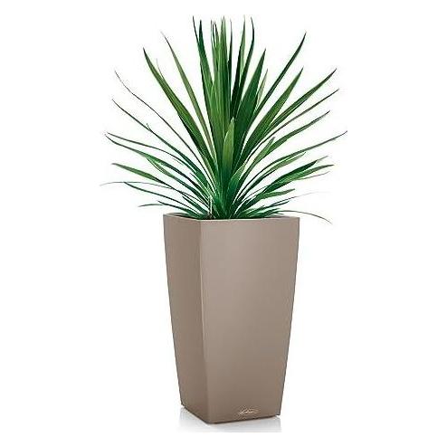 Lechuza Pflanzentopf Cubico Color 22 (22 x 22 x 41 cm) (13128)