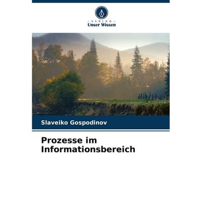 Prozesse im Informationsbereich, Taschenbuch von Slaveiko Gospodinov, Verlag Unser Wissen, 978-620-6-59324-9
