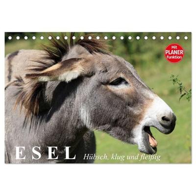Esel. Hübsch, klug und fleißig (Tischkalender 2027 DIN A5 quer), CALVENDO Monatskalender