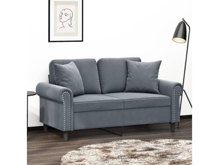HEFZGDB Modernes 2-Sitzer-Sofa mit Zierkissen 120 cm Dunkelgrau Samt Stoffbezug – Weiches Velours Polstermöbel mit Metallgestell für Wohnzimmer Komfort